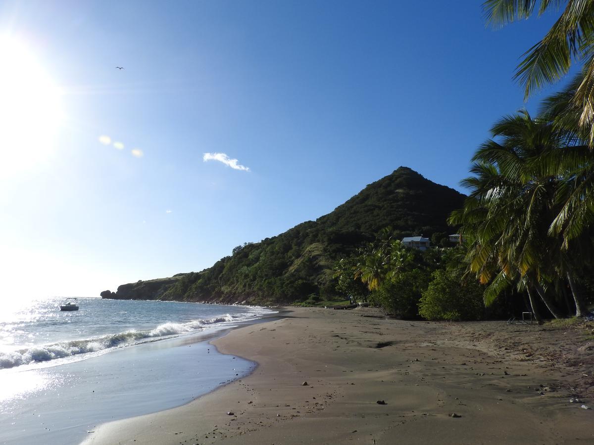Villa Des Amandiers Les Anses-d'Arlets Buitenkant foto